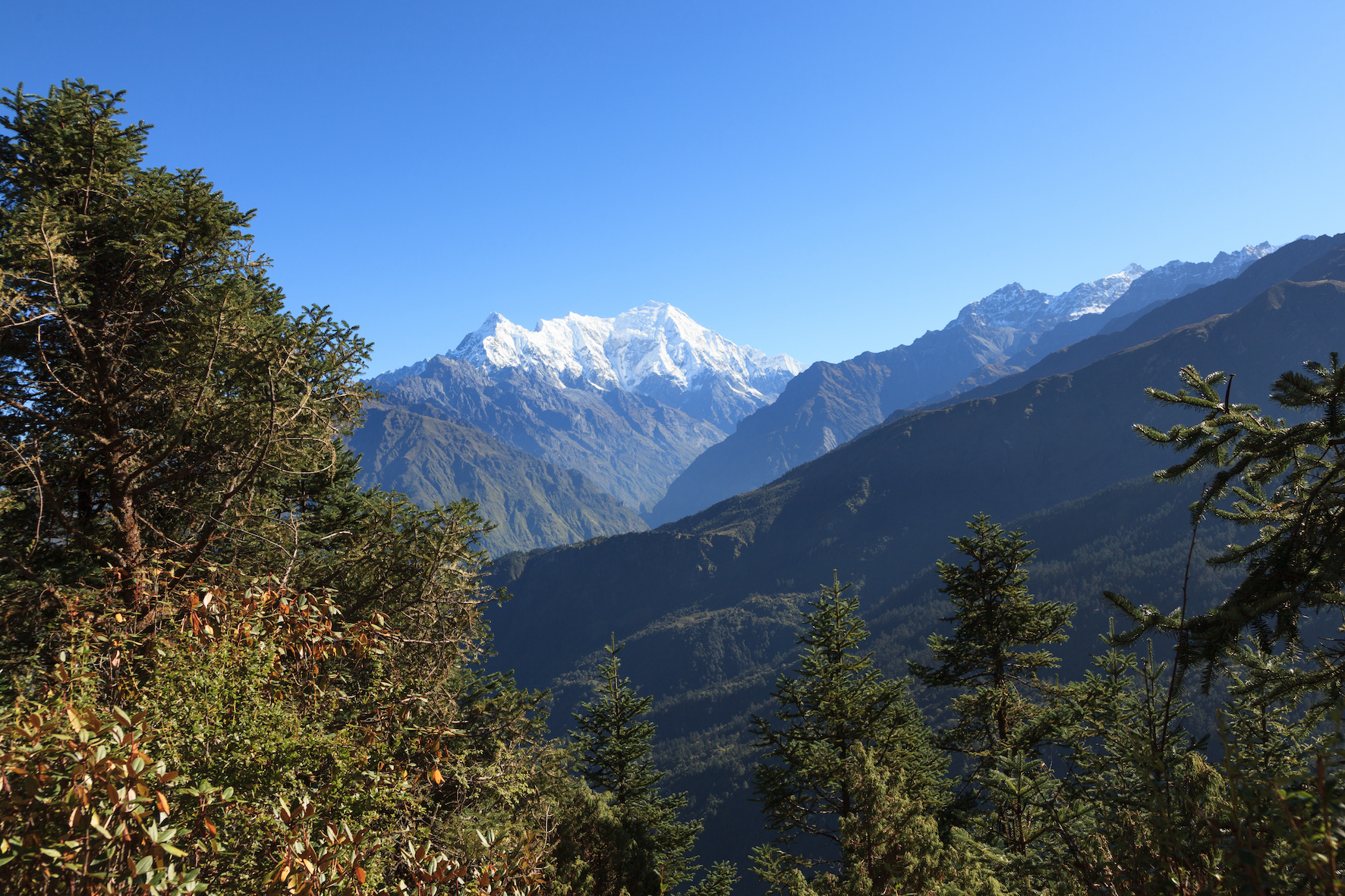 langtang lirung peak