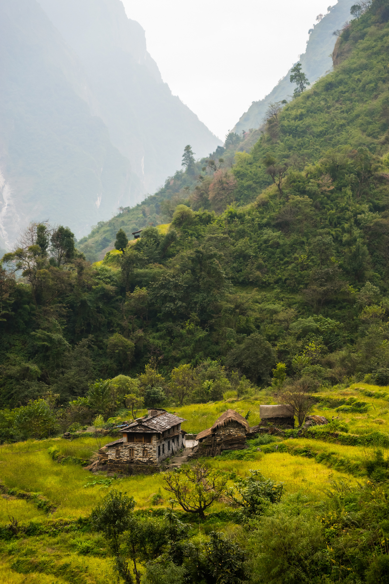 dhaulagiri trek