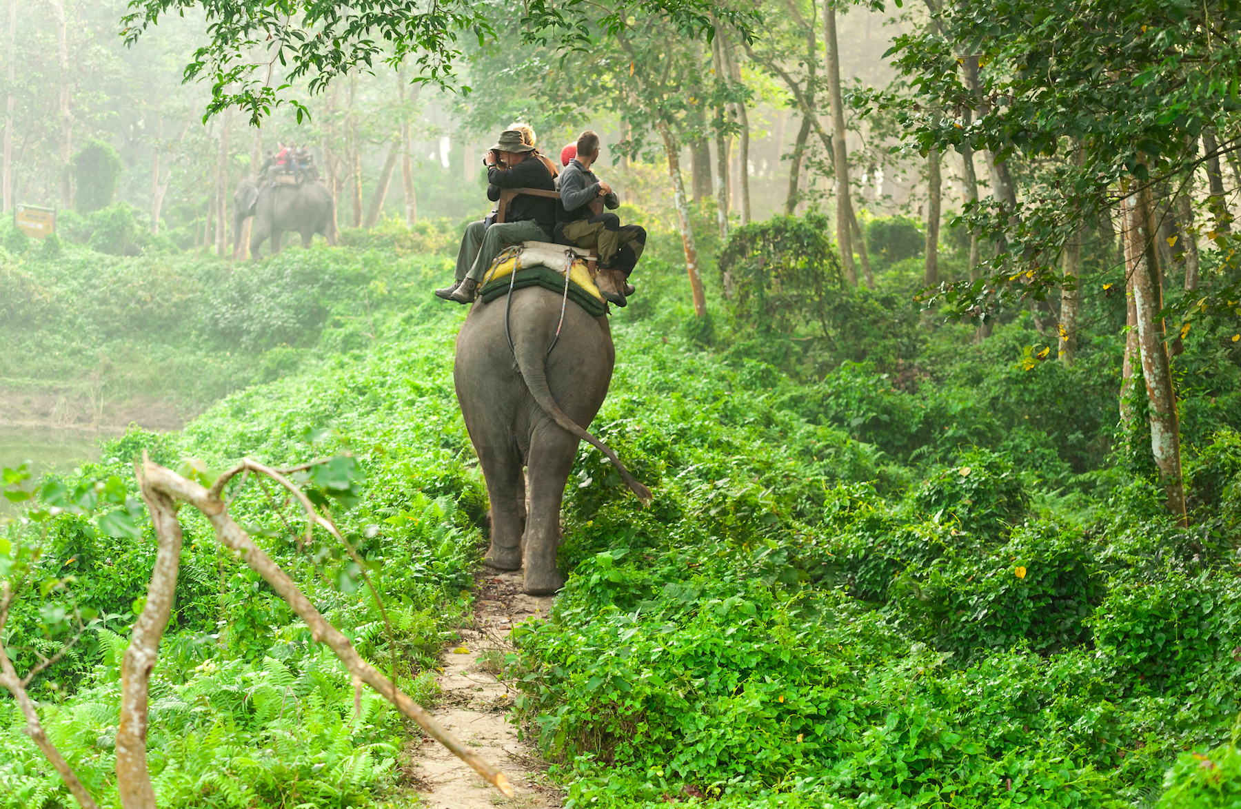 Annapurna Trek & Chitwan Safari
