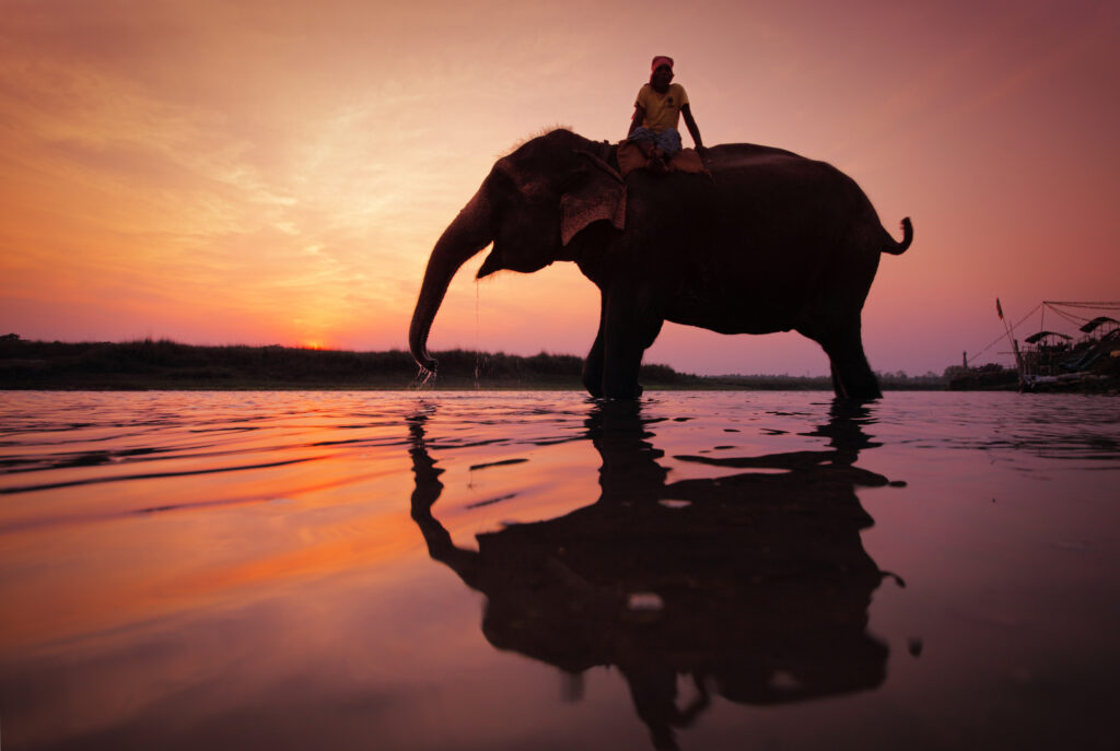 Chitwan National Park